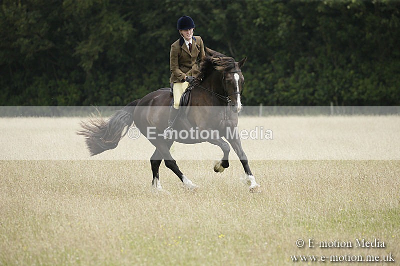 B230619-0470 - Bourne Valley Riding Club Summer Show 23/06/19