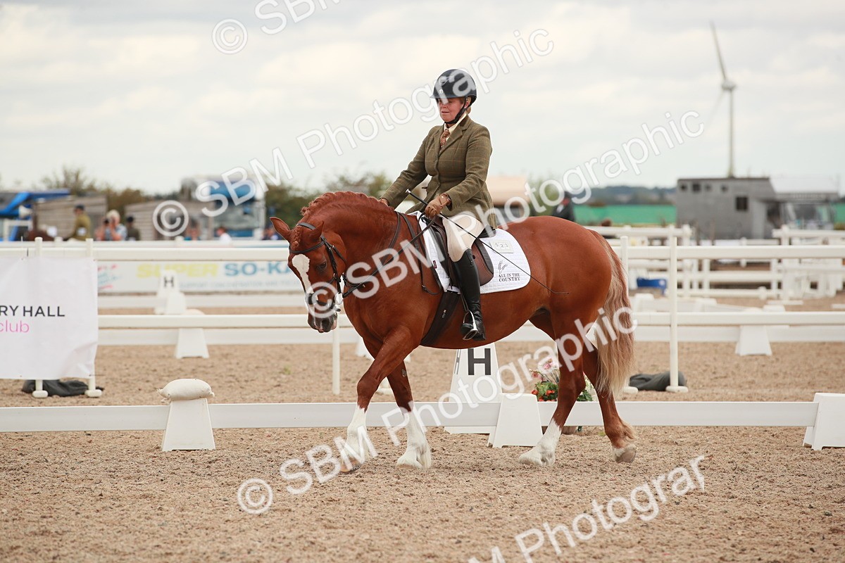 SBM_06093 - Class 33 - Elementary 1