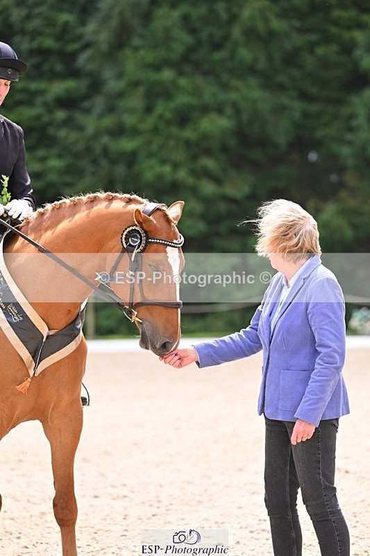 240809-131616-01029 - Preliminary Silver