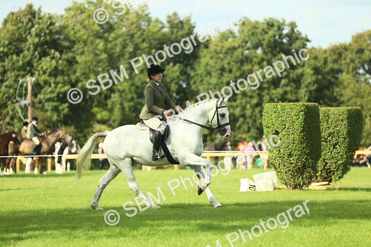 SBM_47928 - S32 - Novice & Newcomers Working Hunter