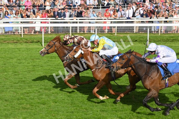 yr21052022r7-36 - Race 7: 5:15pm Reg Bond Always and Forever Stakes