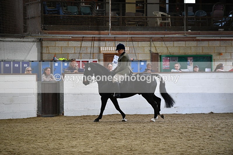 WJ5_7821 - Class 13 Ridden Part Breed