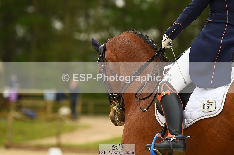 230426-135554-01442 - Cls 13 FEI Intermediate II