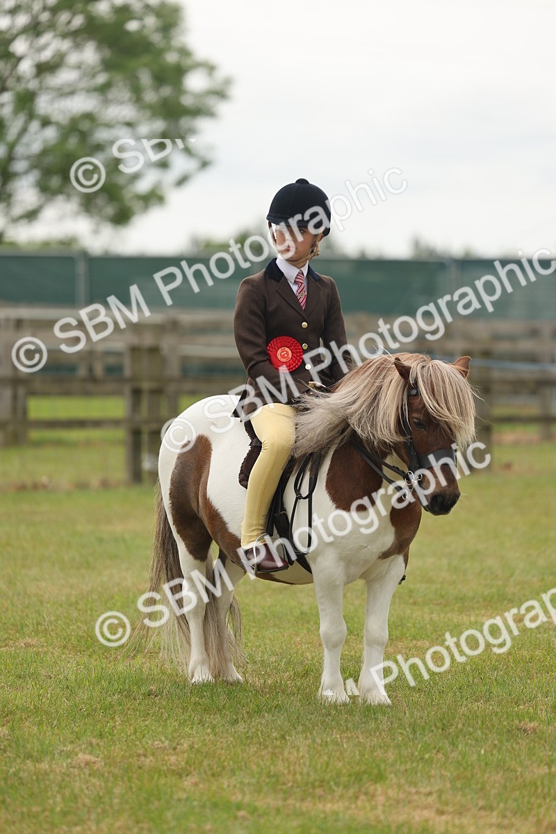 SBM_09148 - Class 78-80 - Ridden M&M Non Welsh Ponies