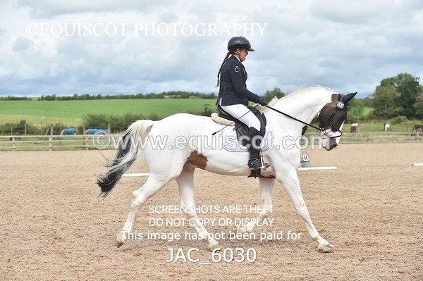 JAC_6030 - NOVICE 6