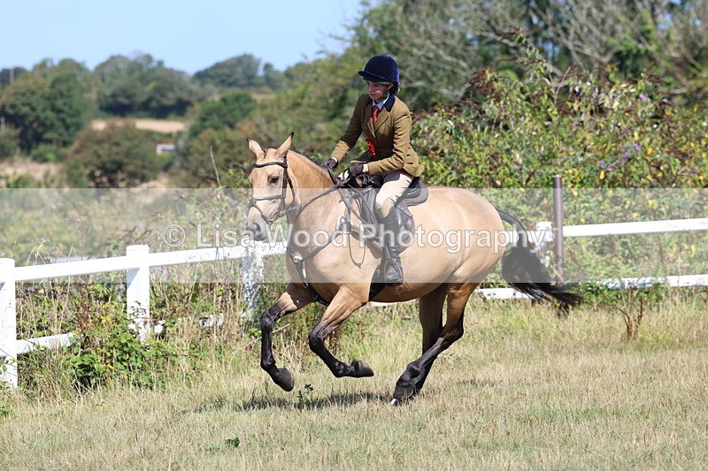 3E7A6414 - Working Hunter Championship