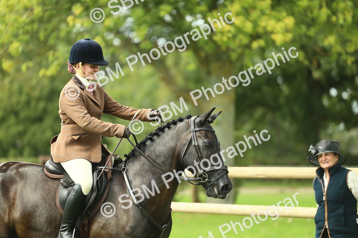SBM_44753 - S31 - Working Hunter Pony