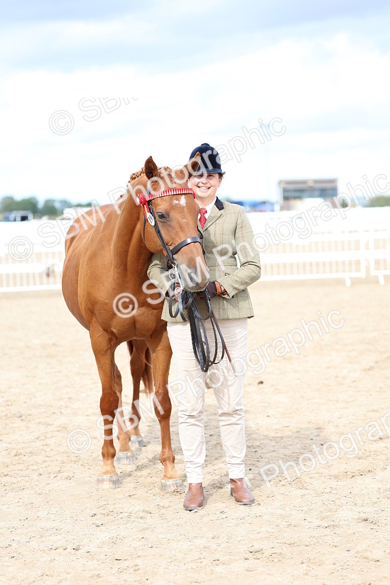 SBM_04475 - Class 26 - IH Foreign Breeds - Part Bred