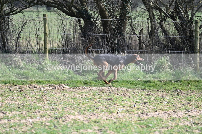 WJ7_5694 - Camera A