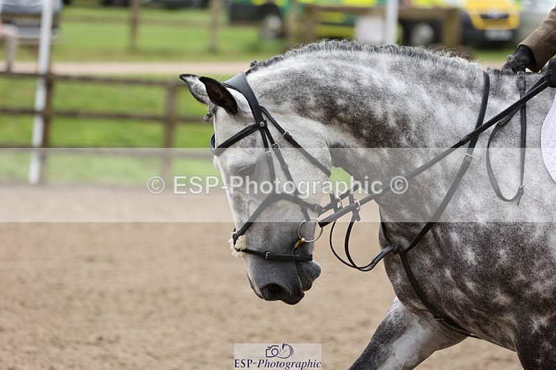 240804-142430-15858 - 612-Georgina_Ewell-THE_YOUNG_EMPEROR