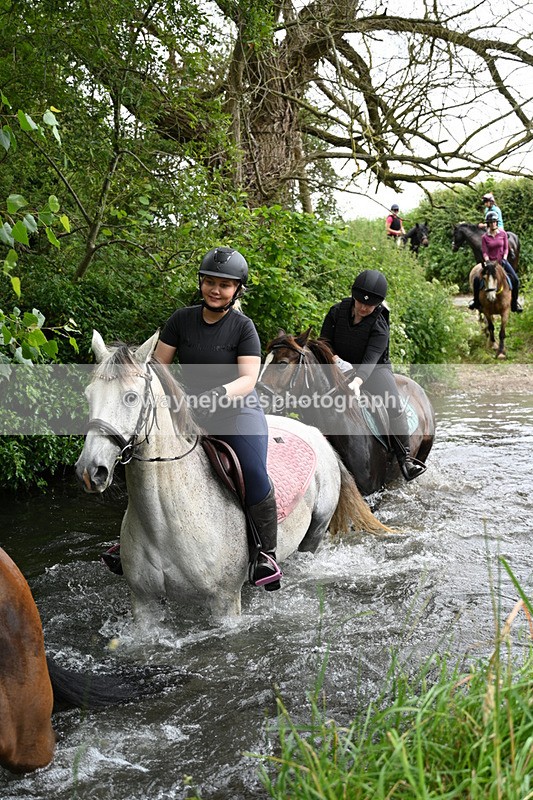 WJ7_2000 - Camera 2 Water Crossing