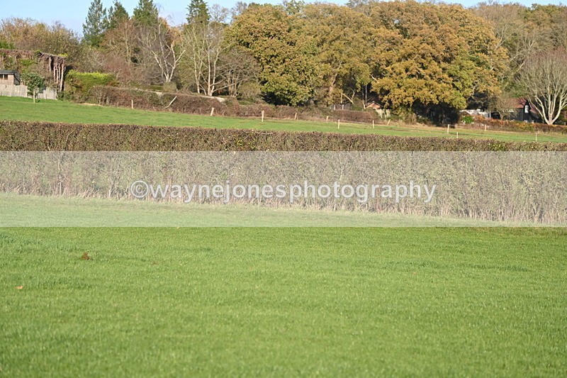 WJ6_3268 - Camera A