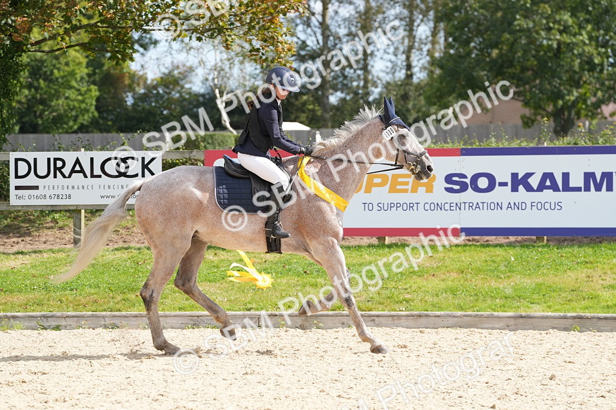 SBM_38934 - J21 - Junior Horse 60cm Championship