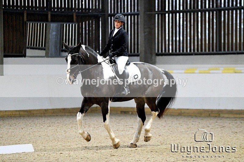 WJ5_8039 - Edited examples