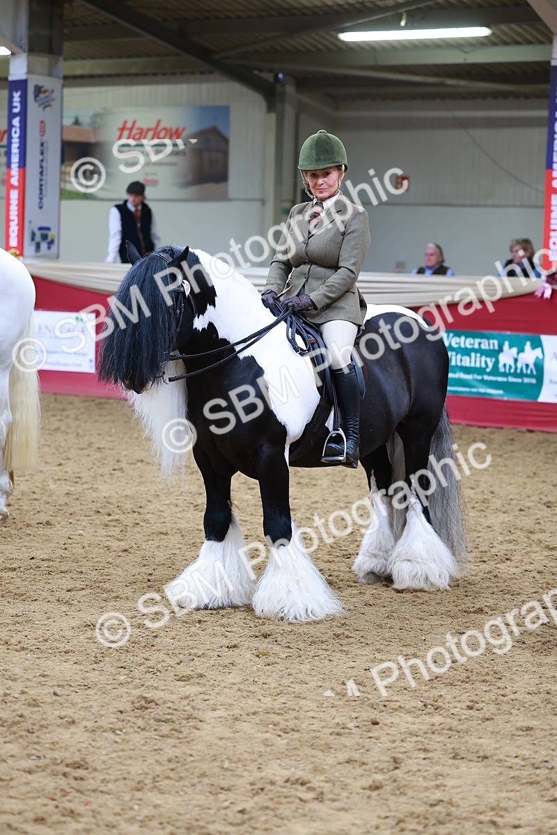 SBM_06301 - Class 12R - Ridden Pre-Vet