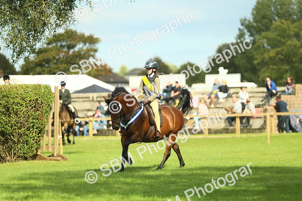SBM_45030 - Working Hunter Pony Supreme Championship