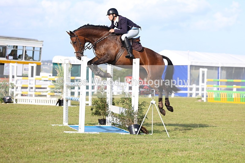 3E7A4421 - Class C: Showjumping Senior Foxhunter