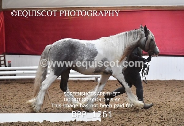 BPP_1261 - MORNING 9AM - 12PM