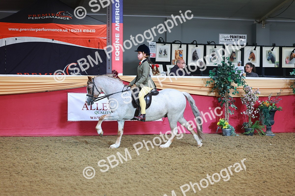 SBM_07646 - Class 101 - HOYS Veteran Qualifier - Ridden Diamond