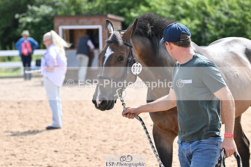 240717A-153933-02953 - Trot Up 3pm to 4pm