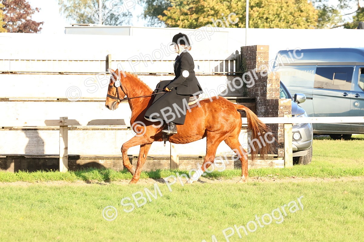 SBM_53060 - S29 - Mature Veteran Ridden