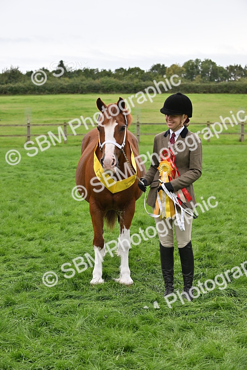 SBM_65032 - In Hand Pony & Younstock Supreme Championship