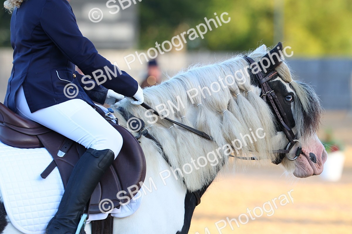 SBM_33439 - D26 - Test Starter Test 1