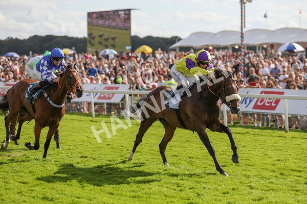 290723-Race 6-Dark Moon Rising-4039 - Race 6 5.10pm Betting Better With Sky Bet Handicap