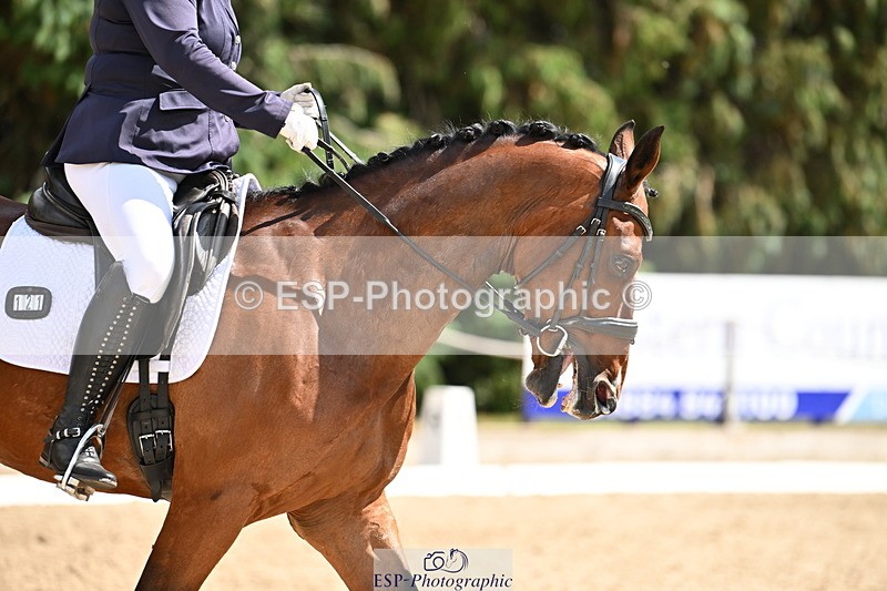 250808A-144534-00990 - 121-Emily.FarleighLimited.Edition.TN