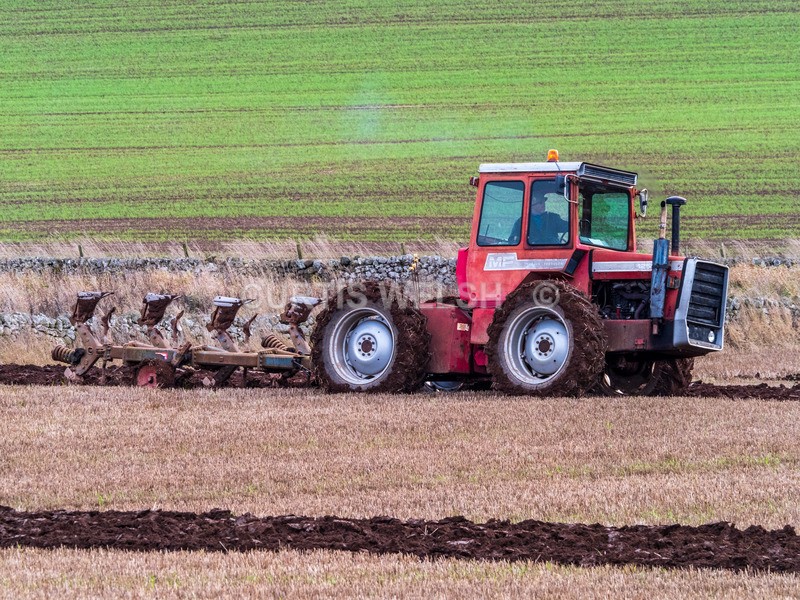PB260098 - Lauderdale Ploughing Society - Ploughing match 26-11-22