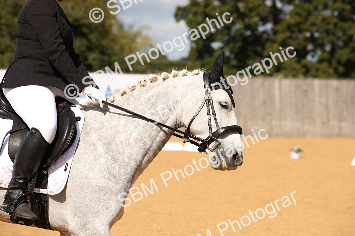 SBM_04349 - D2 Small Tour Championship Intro C
