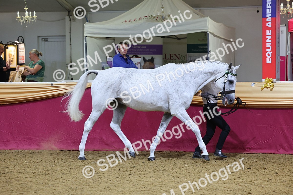 SBM_20811 - Class 902 - Supreme Final IH Veteran