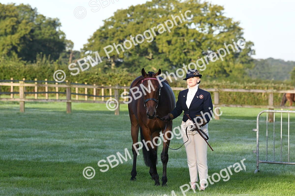 SBM_32575 - S15 - Condition & Turnout In Hand