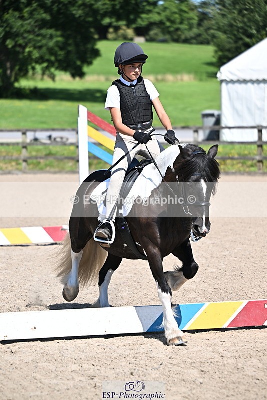 240729B-112447-02362 - Showjumping Competition