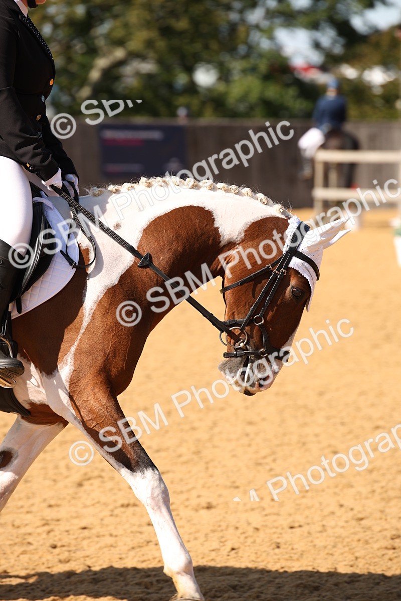 SBM_24207 - D5 - Small Tour Championship - Intro C