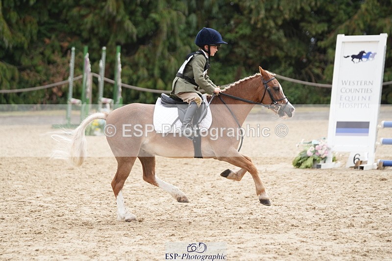 250824A-114444-35668 - 2028-Harry.Honeyball-Sardis.Cassius