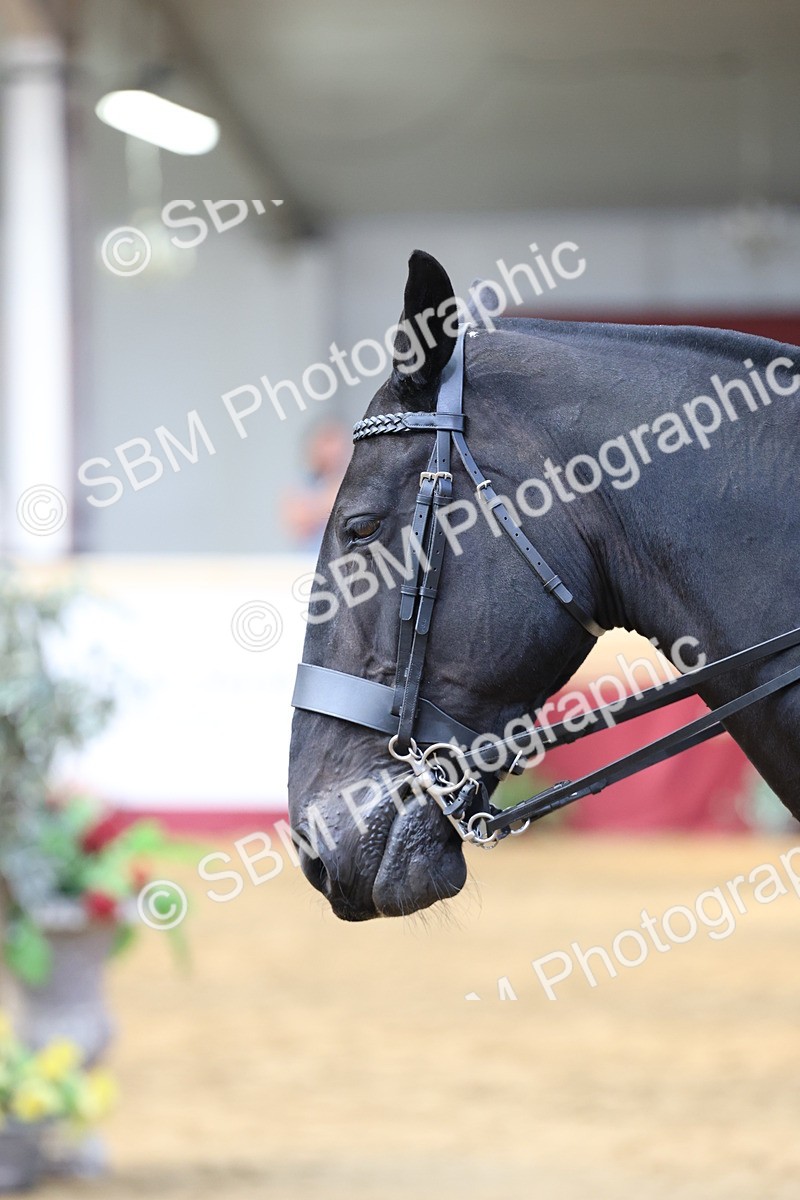 SBM_23579 - Class 904 - Supreme Final - Ridden Diamond