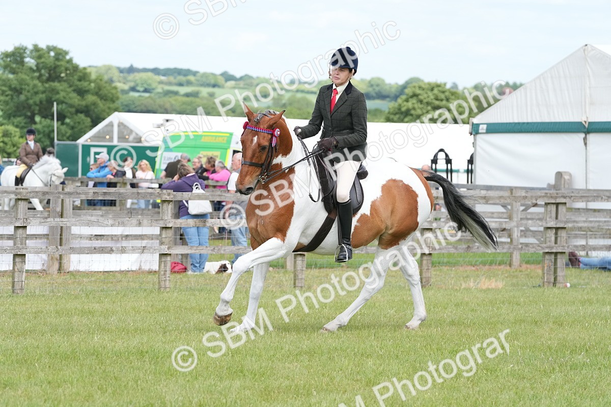 SBM_17594 - Class 107-108 - LIHS BSPS Performance Coloured Horse Pony