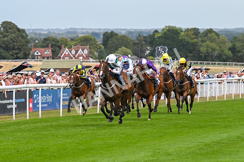 140825-Race 1-Catching The Moon-0259 - Race 1