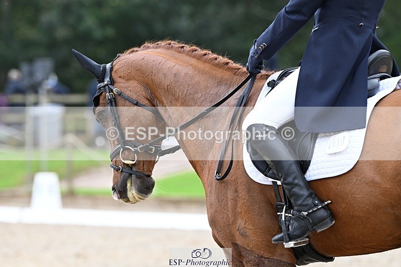 231019-141734-04127 - 051-VITAL.DK.Z-Isny.O'Donnell-DR