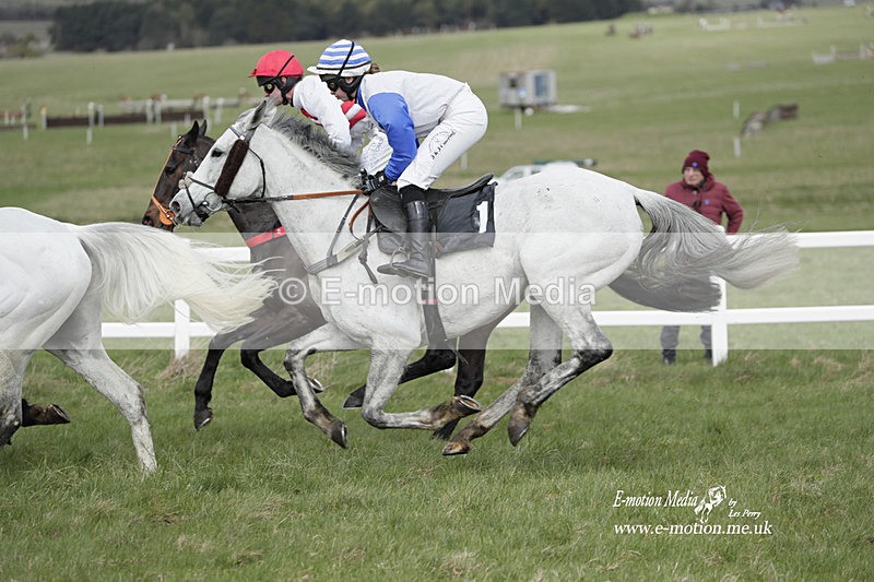 PtP 260323 0396 - New Forest Hounds Point-to-Point Larkhill 26/03/23