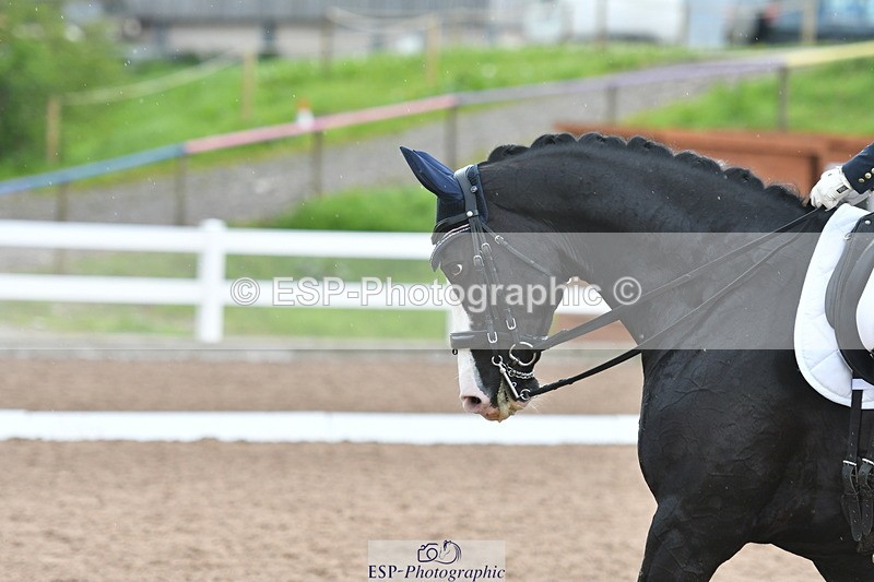 230511A-162325-01347 - BD Cls 18 FEI PSG