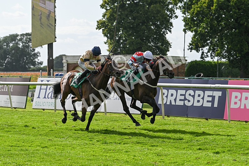 030824-Race 6-Night Breeze-1952 - Race 6