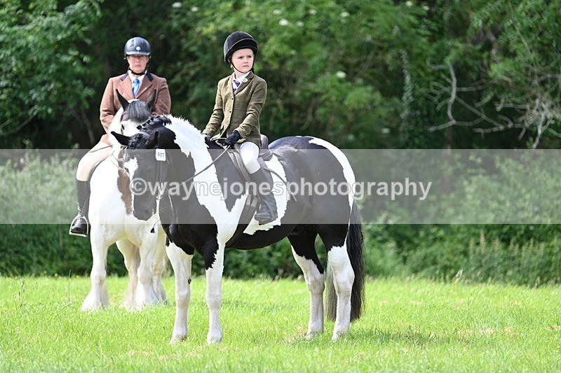 WJ7_1428 - Class 11 Condition & Turnout