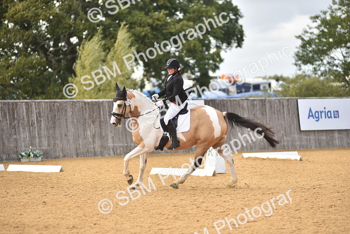 SBM_24358 - D4 - Small Tour Championship Intro 4