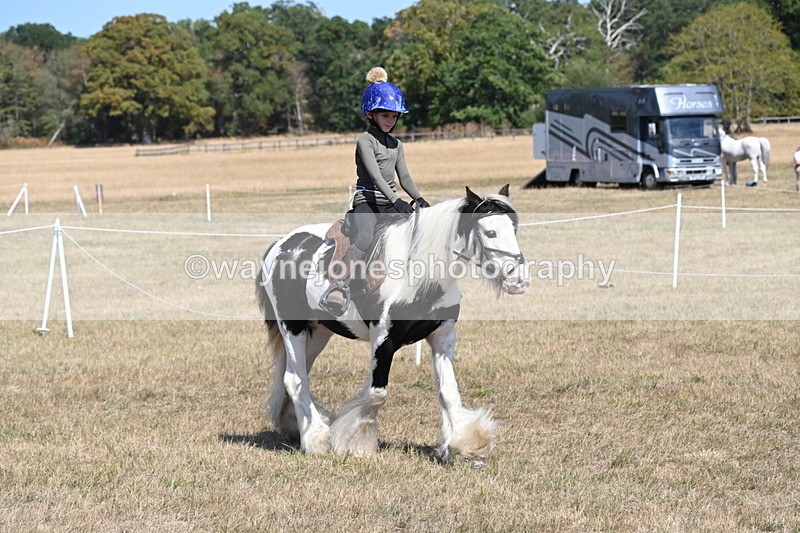 WJ6_9156 - Championship Classes 33-38