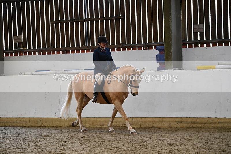 WJ5_6131 - Class 9 Ridden Veteran