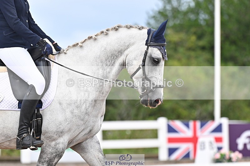 240817A-114220-08099 - 237-Alex.Harris-Boy.wonder