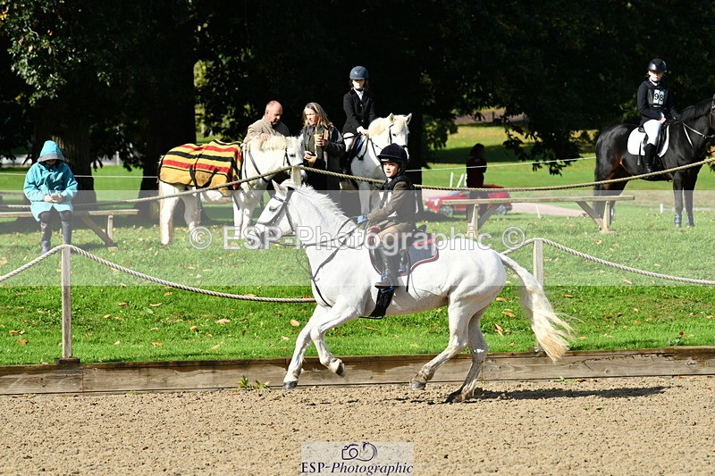 251004A-115739-00827 - Classes 4 & 5 50cm