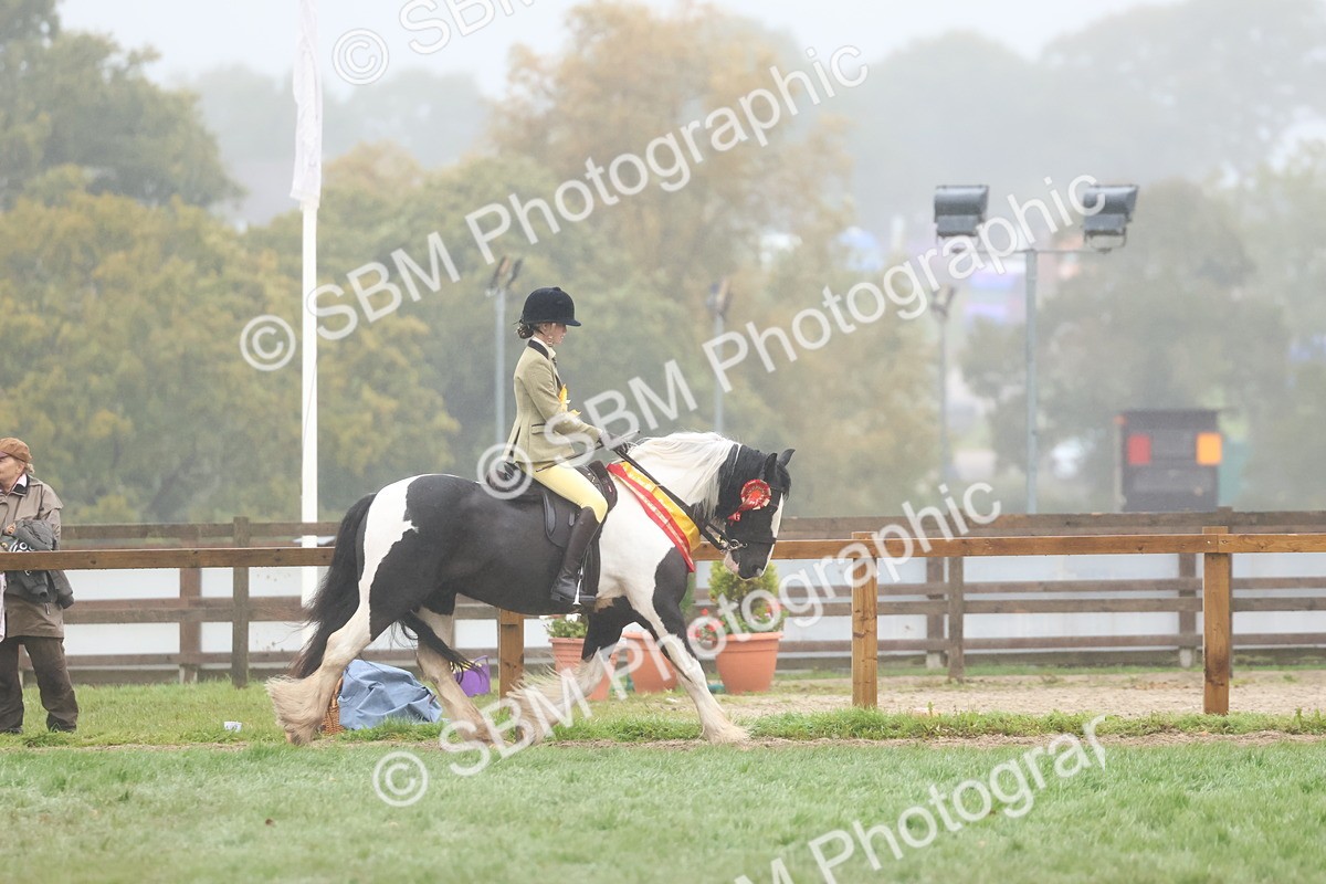 SBM_73200 - Super Supreme Championship(Sun)